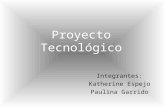 Proyecto TecnolóGico Luly