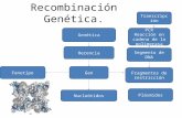 Recombinación genética (microbiología).