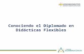 Diplomado en Didácticas Flexibles