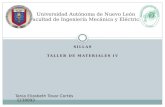 Taller materiales iv