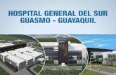 EC 430 Tema: Hospital Guasmo Sur