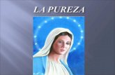 La Pureza 97 2003