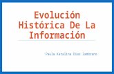 Evolución histórica de la información
