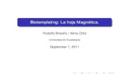 Biotemplating: La hoja magnética
