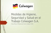 Medidas de higiene, seguridad y salud Colwagen S.A. (Tarea Riesgos de Higiene Industrial)