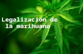 Legalizacionn de la marihuana