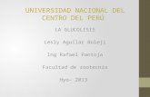 Universidad nacional del centro del perú