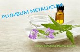 Plumbum metallicum