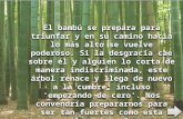 Programa Bambú