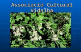 Associació Cultural Vidalba