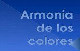 Act 1 armonia_de_colores_equipo