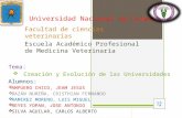 Primeras Universidades