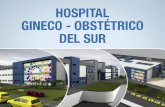 Enlace Ciudadano Nro 334 tema:  Hospital del sur