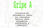Presentacion Gripe A1
