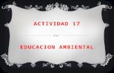 Actividad 17
