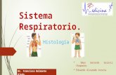 Histología del Sistema respiratorio