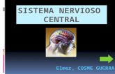 Sistema nervioso c. i