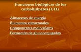Carbohidratos funciones biológicas