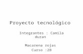 Proyecto TecnolóGico 2b