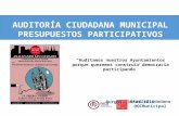 Auditoria ciudadana municipal. presentación burgos 2015
