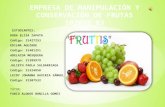 Fruttis tf[1]