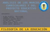 Análisis de los marcos curriculares y del proyecto educativo nacional
