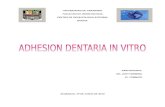 Adhesion dentaria in vitro