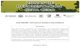 Informe Técnico NZDZ Colombia