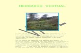 Herbario virtual