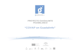 Presentacion covap en_guadalinfo