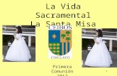 Vida sacramental sta misa ceibos 2012