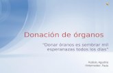 Donación de órganos en Argentina