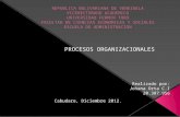 Procesos organizacionales