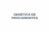 Gen©tica de procariontes