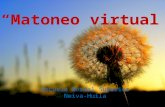 Matoneo virtual