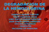 DEGRADACIÓN DE LA HEMOGLOBINA UCC