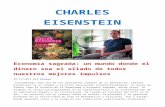Charles Eisenstein (economia sagrada)