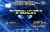 Herramientas sincronicas upel nov. 2013