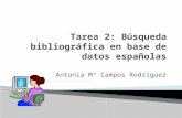 Búsqueda bibliográfica en español