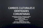 Cambios culturales e identidades comunitarias por Karla González