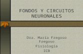Fondos y-circuitos-neuronales-m
