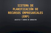 Sistema de Planificación de Recursos Empresariales (ERP)