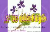 Las tres violetas_de_mi_jardin