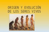 Tema 4 origen y evolución