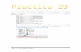 Practica 29