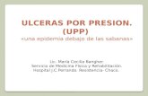 Ulceras por presion (2)