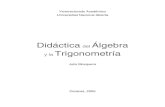 (547) didáctica del álgebra y la trigonometria   gi