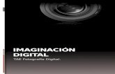 Resumen: Imaginación Digital