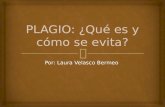 El Plagio, Qué es y como se evita?