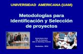 Metodologías  para ident. y selección de proyectos uam2014
